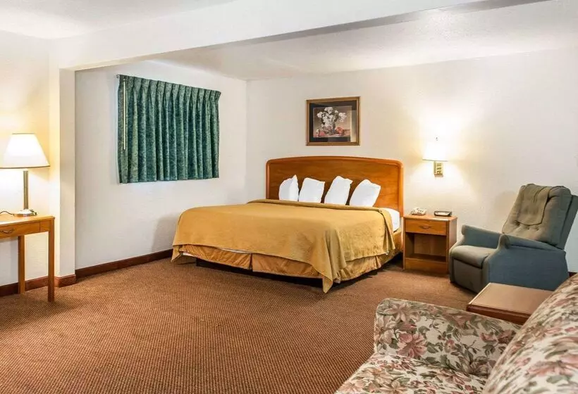 酒店 Quality Inn South