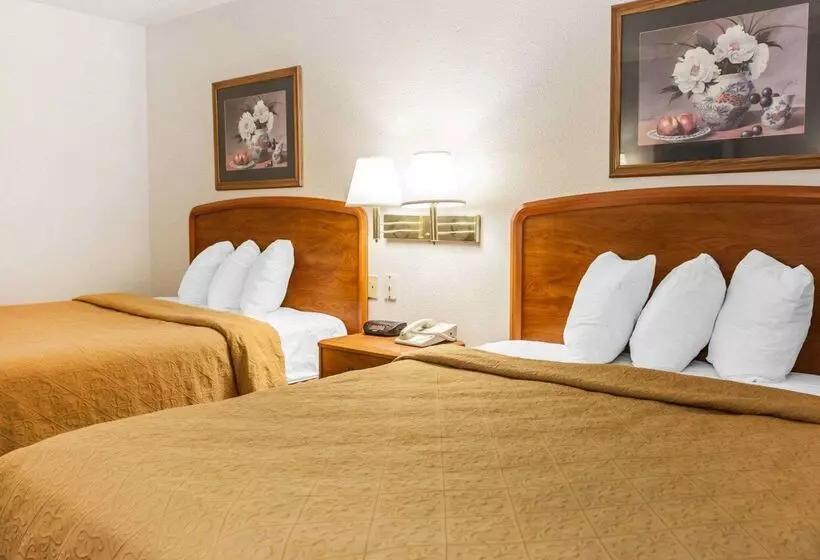酒店 Quality Inn South