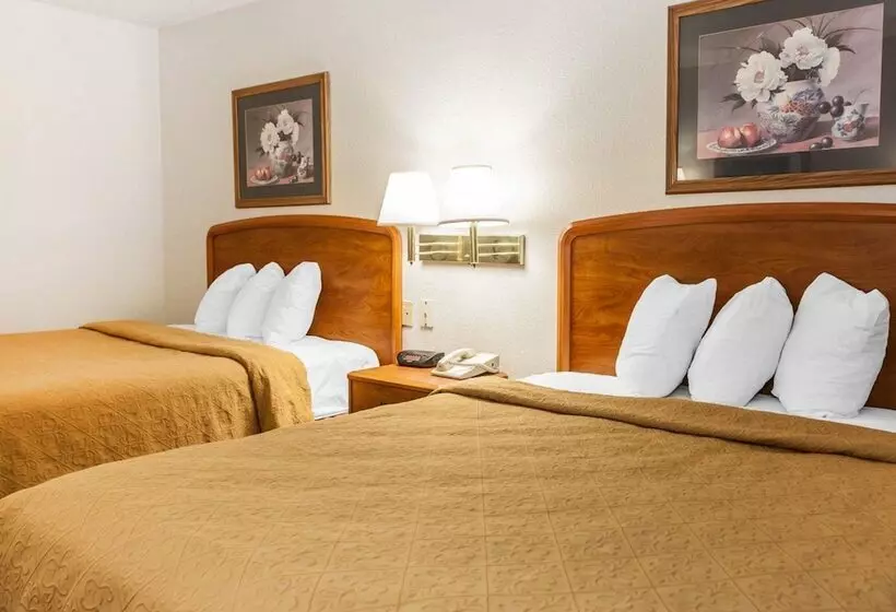 酒店 Quality Inn South