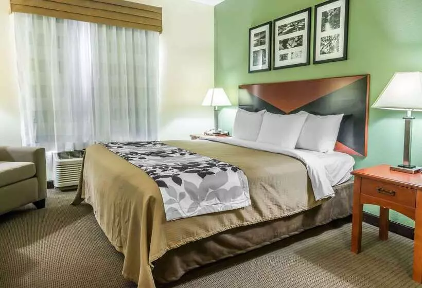 Hotel Sleep Inn & Suites University Shands