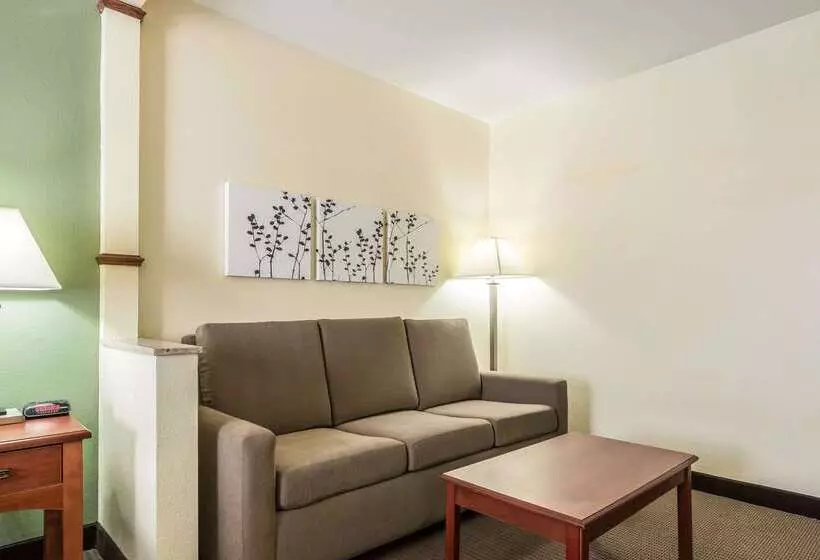 Hotel Sleep Inn & Suites University Shands