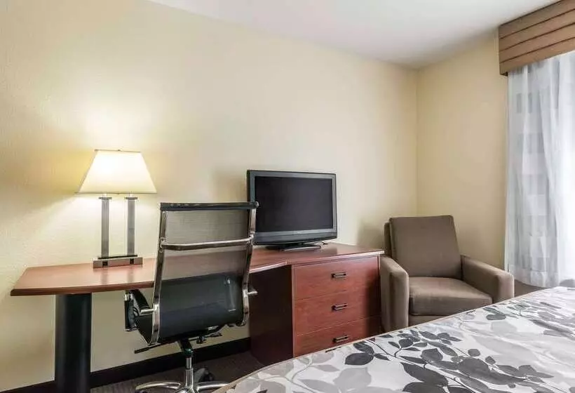Hotel Sleep Inn & Suites University Shands