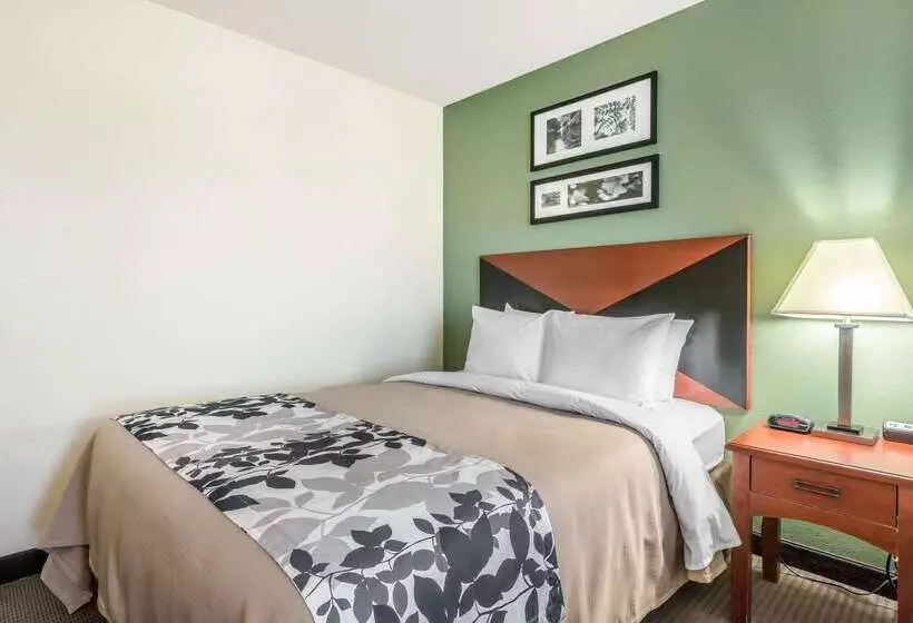 Hotel Sleep Inn & Suites University Shands