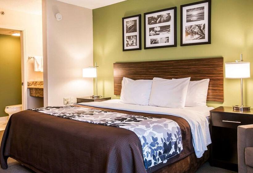 酒店 Sleep Inn Douglasville