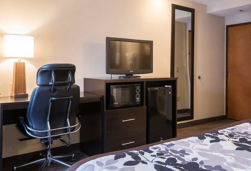 酒店 Sleep Inn Douglasville