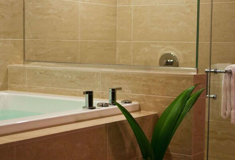 בית מלון כפרי The Royal Sonesta Chicago River North