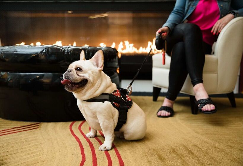 בית מלון כפרי The Royal Sonesta Chicago River North