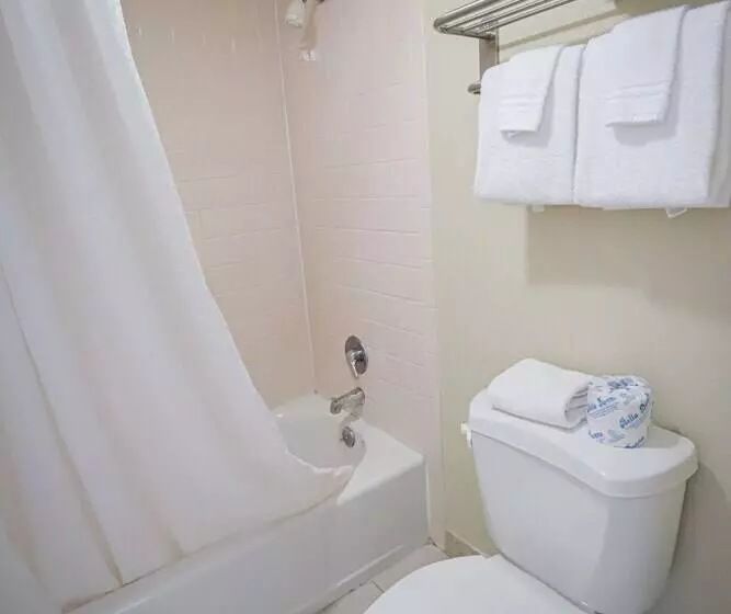 酒店 University Inn & Suites