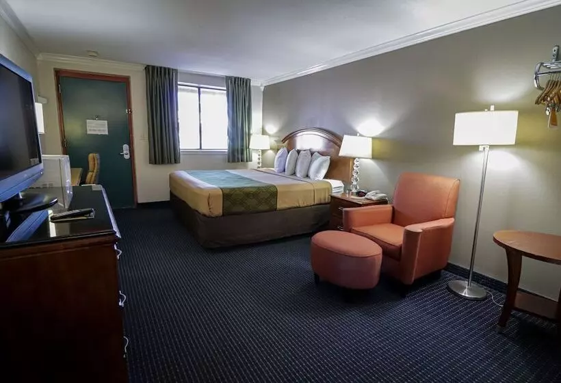 酒店 University Inn & Suites