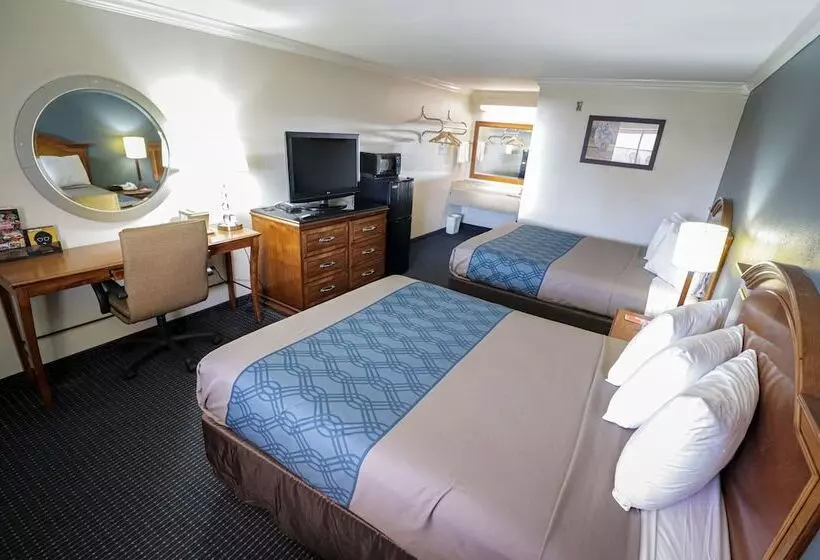 酒店 University Inn & Suites