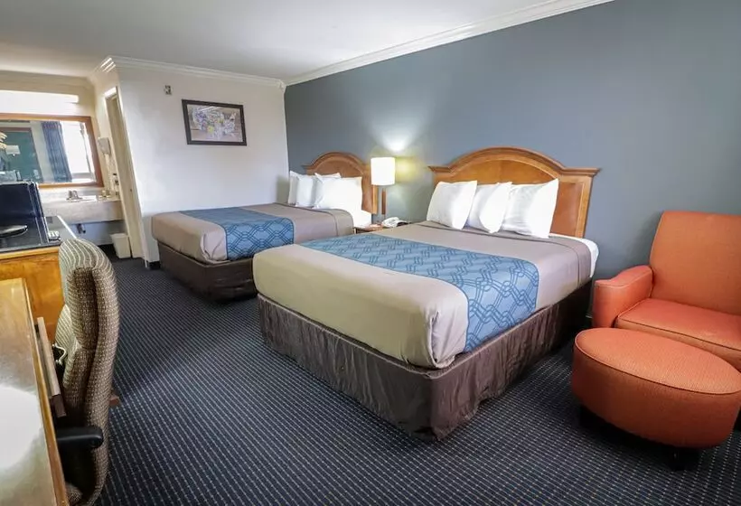 酒店 University Inn & Suites