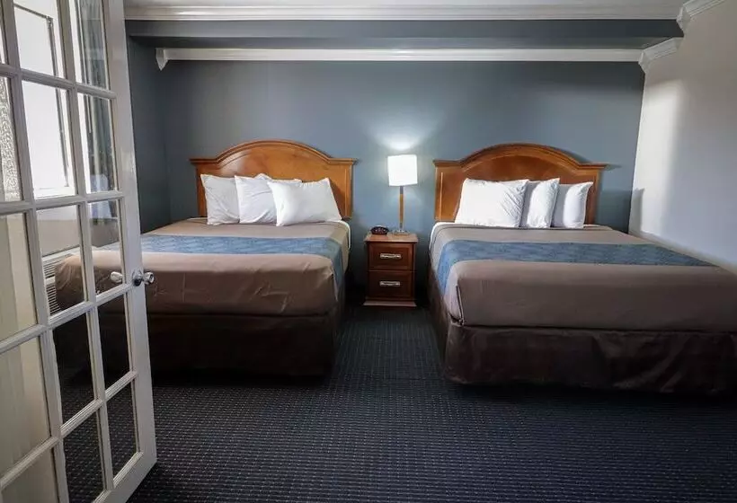 酒店 University Inn & Suites