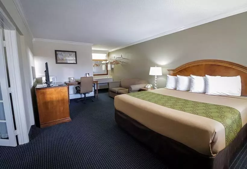 酒店 University Inn & Suites