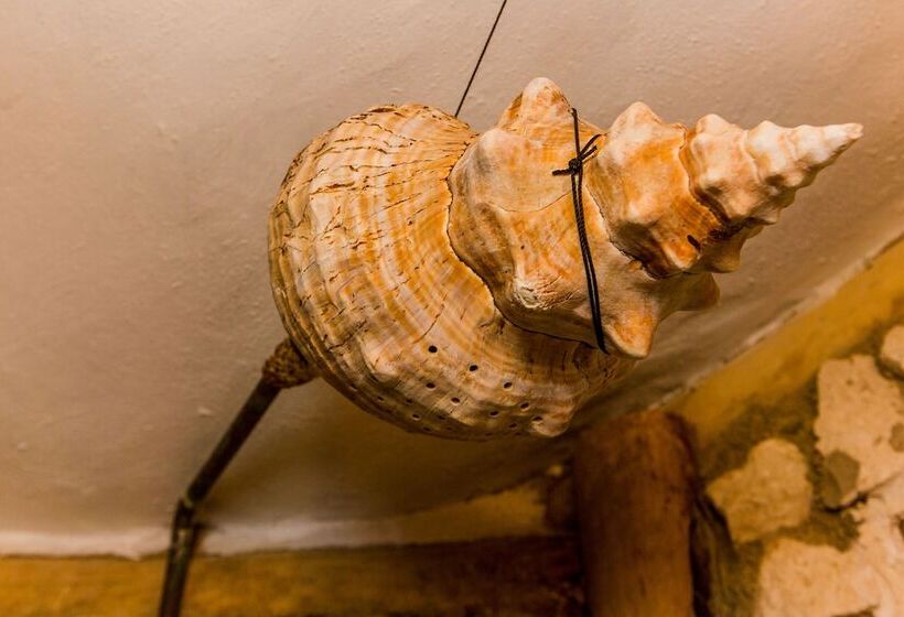 ホテル Cabañas Ida Y Vuelta