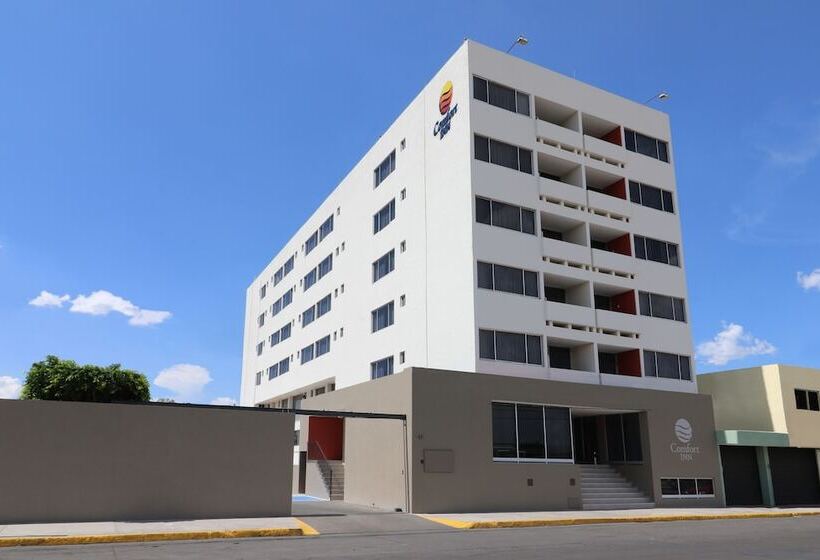 فندق Comfort Inn San Luis Potosi