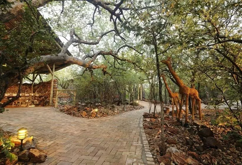 هتل Etosha Village