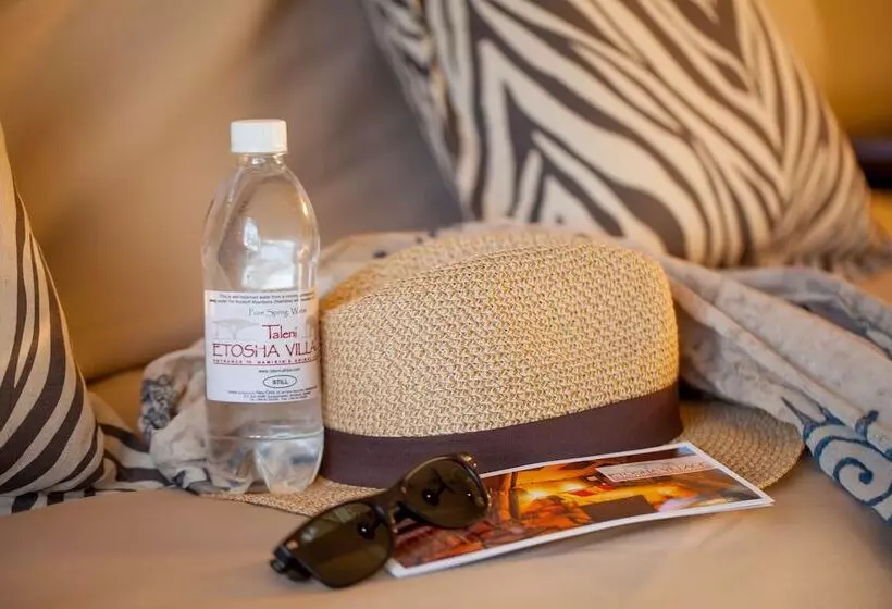 هتل Etosha Village