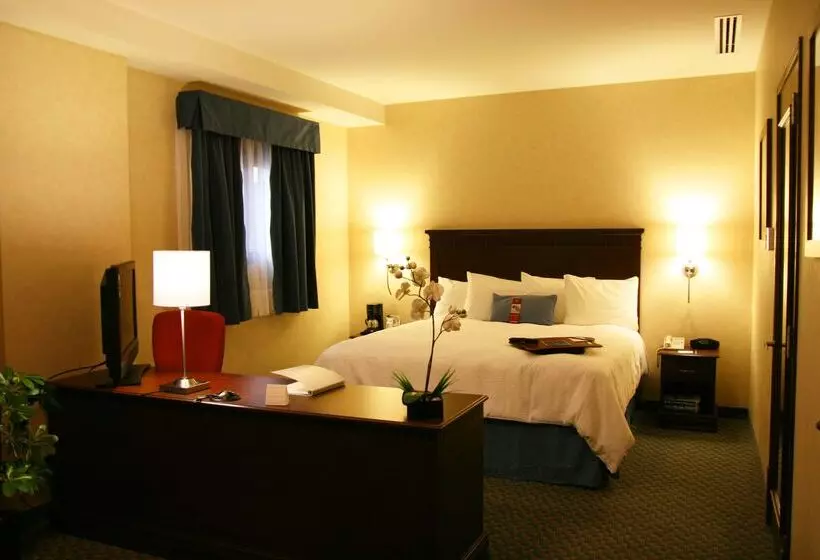 هتل Hampton Inn & Suites Mexico City Centro Historico