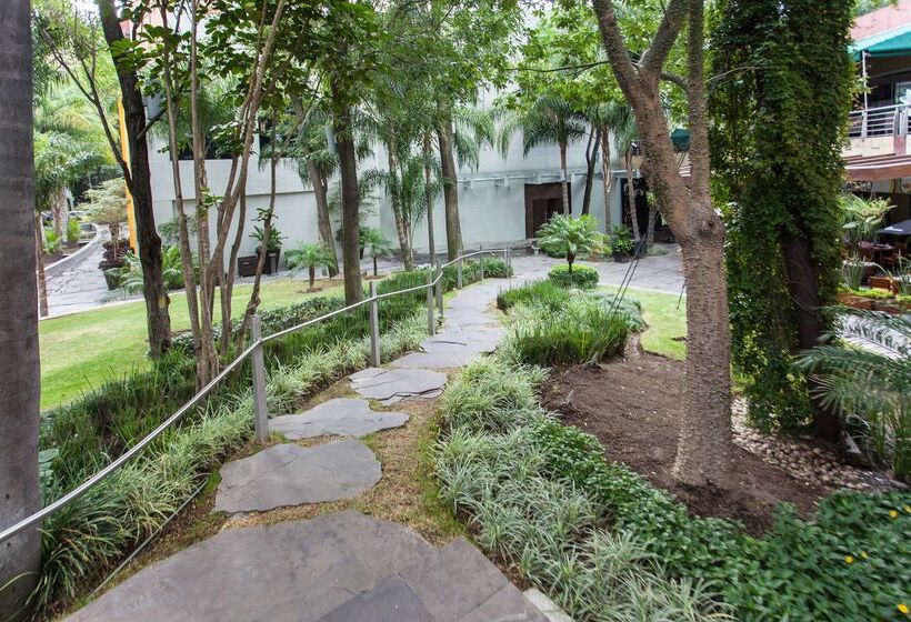 Hotel NH Collection Guadalajara Providencia