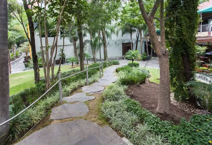 호텔 NH Collection Guadalajara Providencia