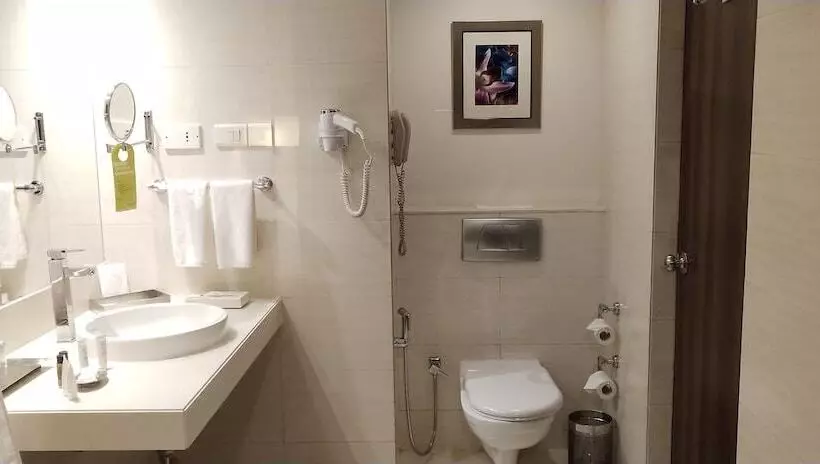 Отель Royal Orchid Central Pune