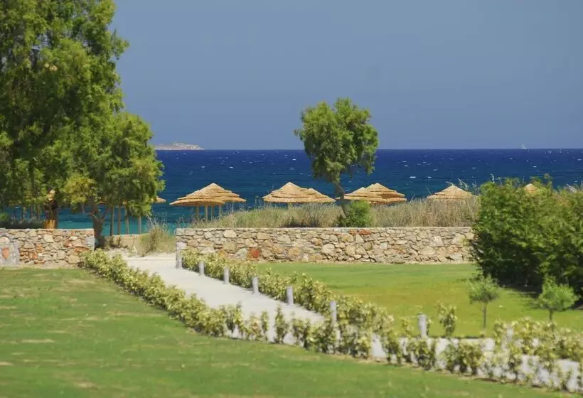 酒店 TUI Sensimar Palazzo Del Mare