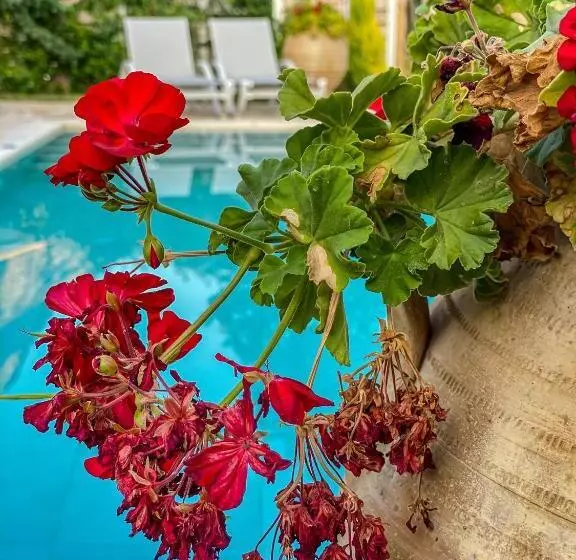 La Riviera Barbati Seaside Apartments & Villas