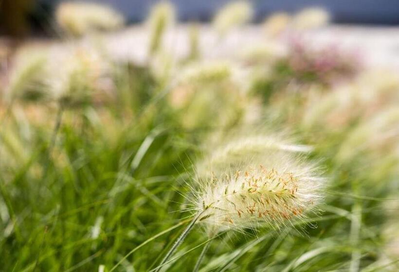 膳宿费 A Casa Da Cerca