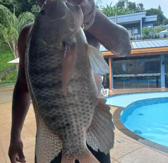 Pousada Recanto Da Cascata