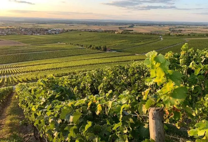 Hotelli Gasthaus Winzerstube &