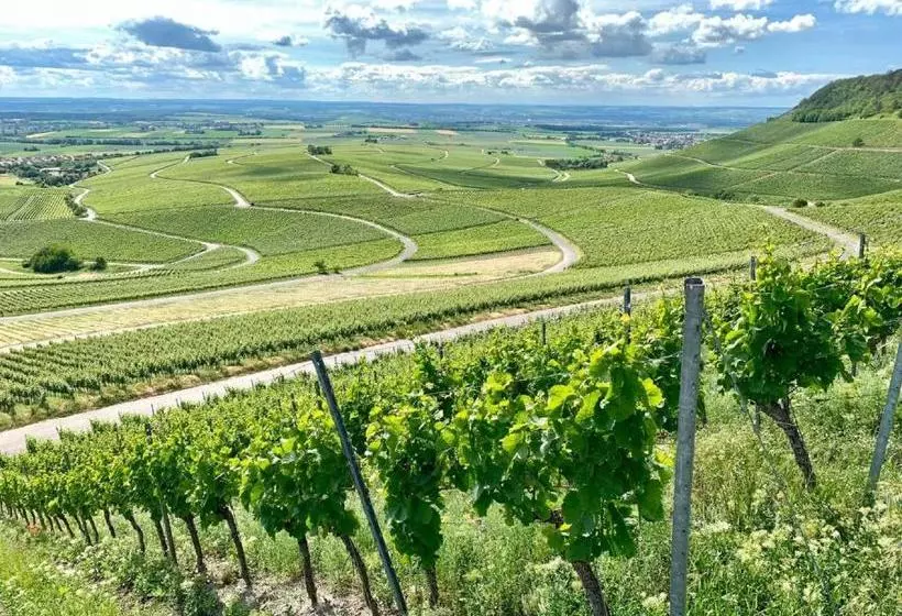 Hotelli Gasthaus Winzerstube &