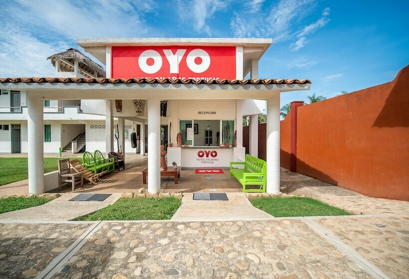 فندق Palapas Tortuga