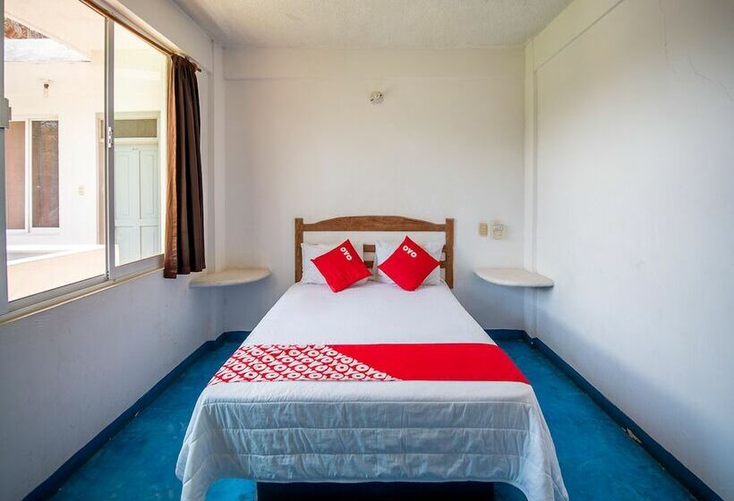 فندق Palapas Tortuga