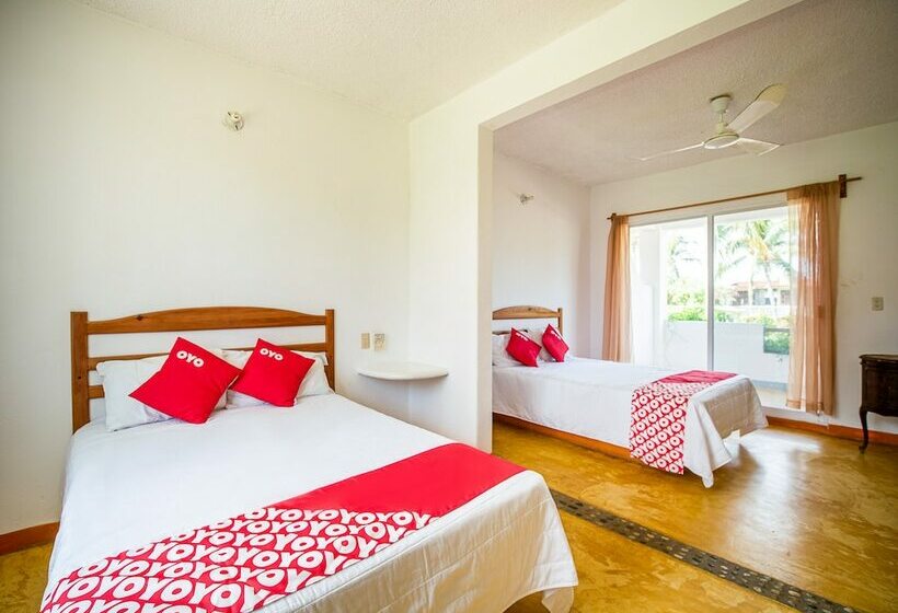 فندق Palapas Tortuga