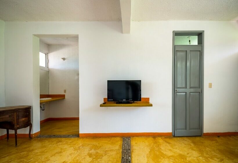 فندق Palapas Tortuga