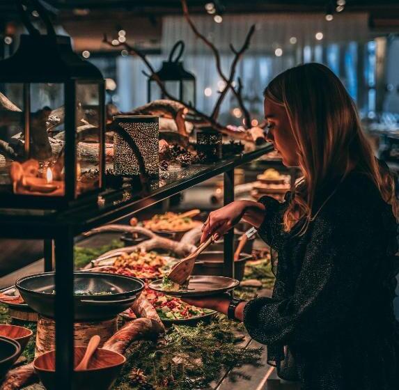 Lapland Hotels Arena