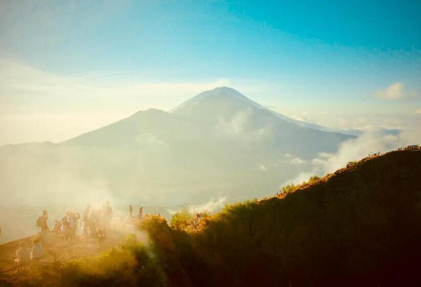 膳宿费 The Breezy Volcano