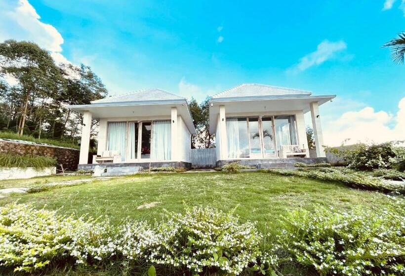 膳宿费 The Breezy Volcano