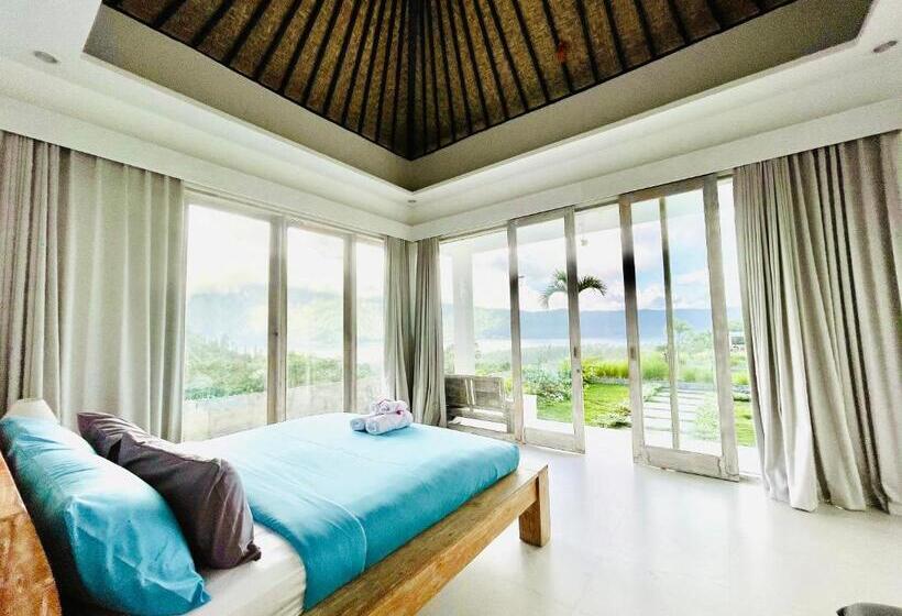 膳宿费 The Breezy Volcano