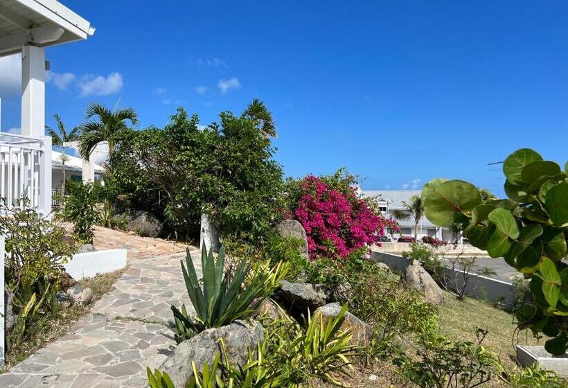 پانسیون Tiko Lodge Sxm