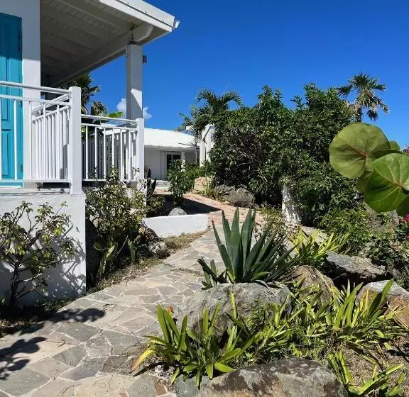 پانسیون Tiko Lodge Sxm