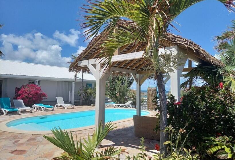 پانسیون Tiko Lodge Sxm