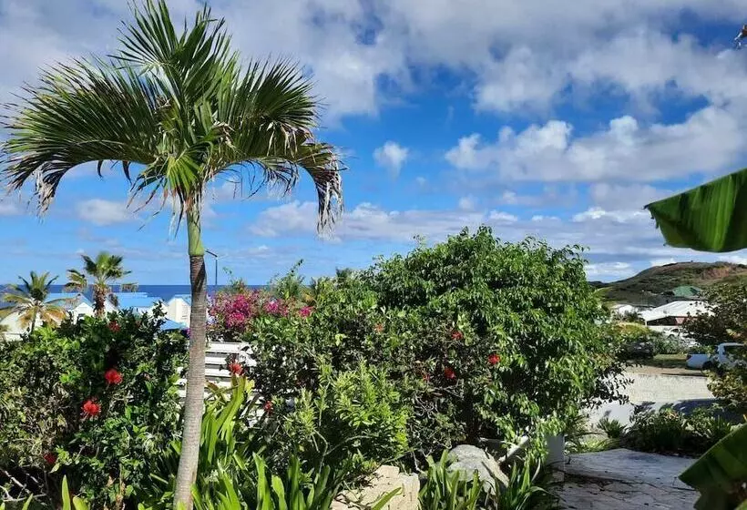 پانسیون Tiko Lodge Sxm