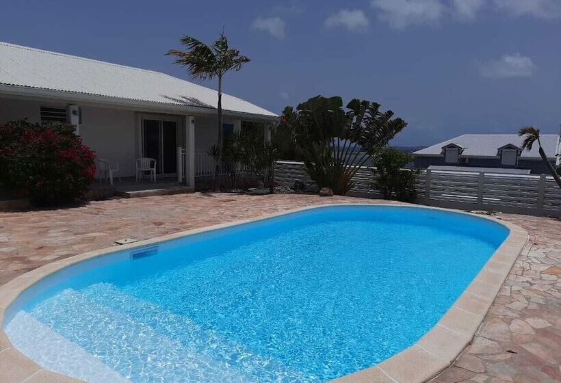 پانسیون Tiko Lodge Sxm