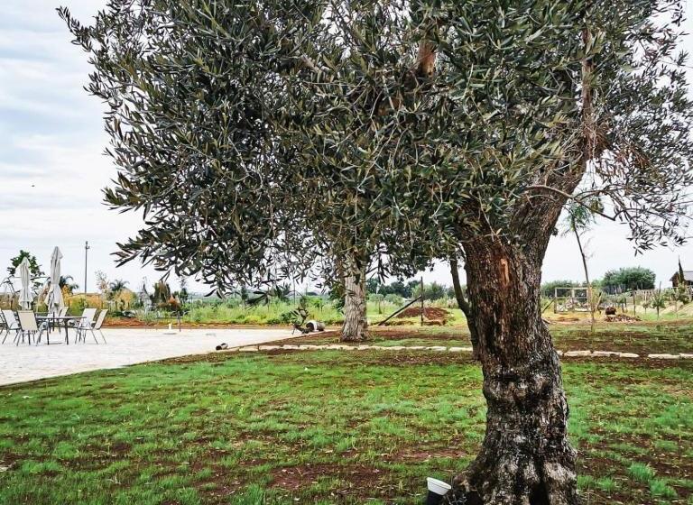 منتجع Il Sentiero Di Leano