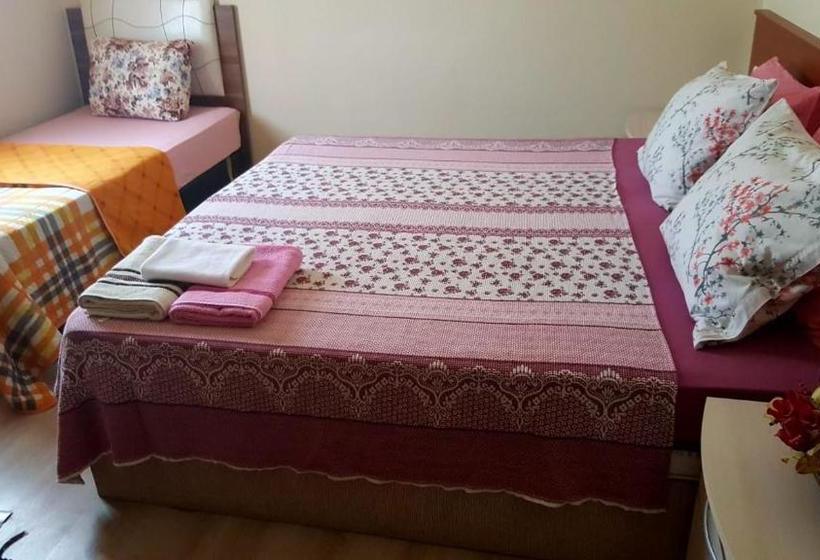 Общежитие Mavi Pansiyon