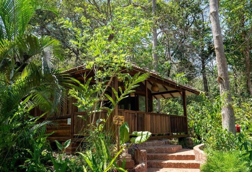 Bed and Breakfast Mojigao   Eco Resort