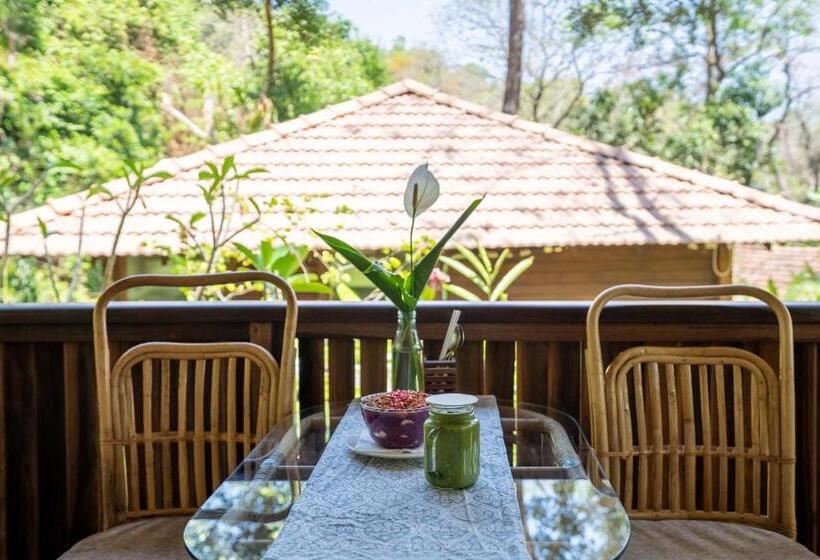 Bed and Breakfast Mojigao   Eco Resort