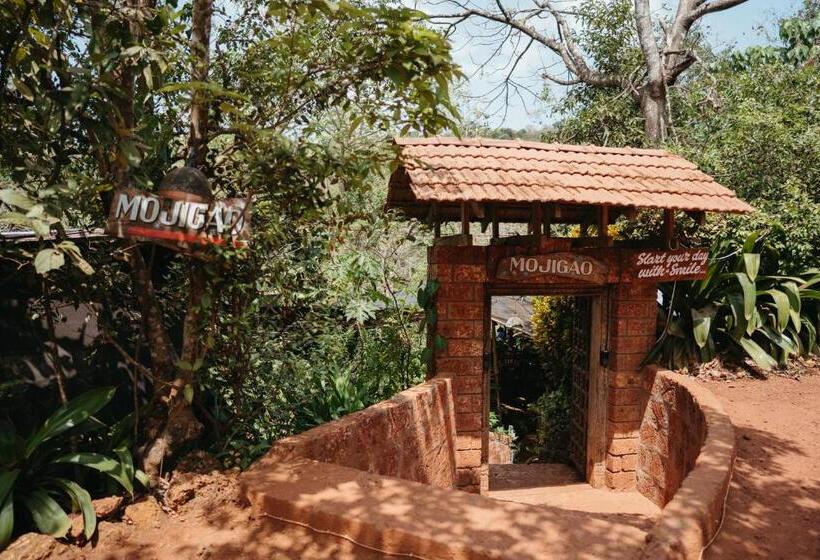 Bed and Breakfast Mojigao   Eco Resort