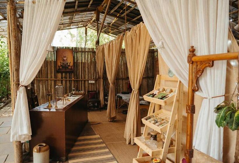 Bed and Breakfast Mojigao   Eco Resort